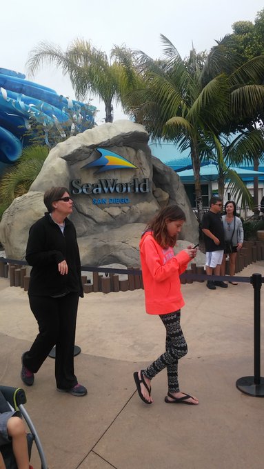 Omg had so much fun @SeaWorld today https://t.co/LjINVOBw9S<a class="tags" target="_blank" title="On Twitter" href="/?out=eyJ0eXAiOiJKV1QiLCJhbGciOiJIUzUxMiJ9.eyJpYXQiOjE3MjI5ODc4NzMsImlzcyI6InR3cG9ybnN0YXJzLmNvbSIsIm5iZiI6MTcyMjk4Nzg3MywiZXhwIjoxNzU0NTIzODczLCJyZWRpcmVjdF91cmwiOiJodHRwczovL3R3aXR0ZXIuY29tL1NlYVdvcmxkIn0.pJW2WrugOa2A9qI1c1ch3LvpHOLa1rVbEofoOV4OQEbFnKwab1oQ7CQb1gRXqOyMSuBNSegyP6zbpPWTO9M_Fw">@SeaWorld</a><a href="/tag/livecamtalk"class="tags"><span>#livecamtalk</span></a><a href="/tag/topic"class="tags"><span>#topic</span></a><a href="/tag/cammodelconsistency"class="tags"><span>#cammodelconsistency</span></a>