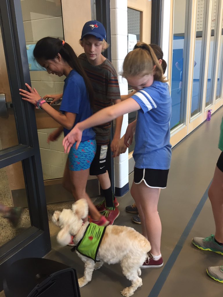 KellyCoxEDU's tweet photo. A little physical activity with Sunshinecompassion dog! #geniusprogram @MundysBayVP @SweetCharityDog @SCDSB_Schools https://t.co/h3a64BvhEs