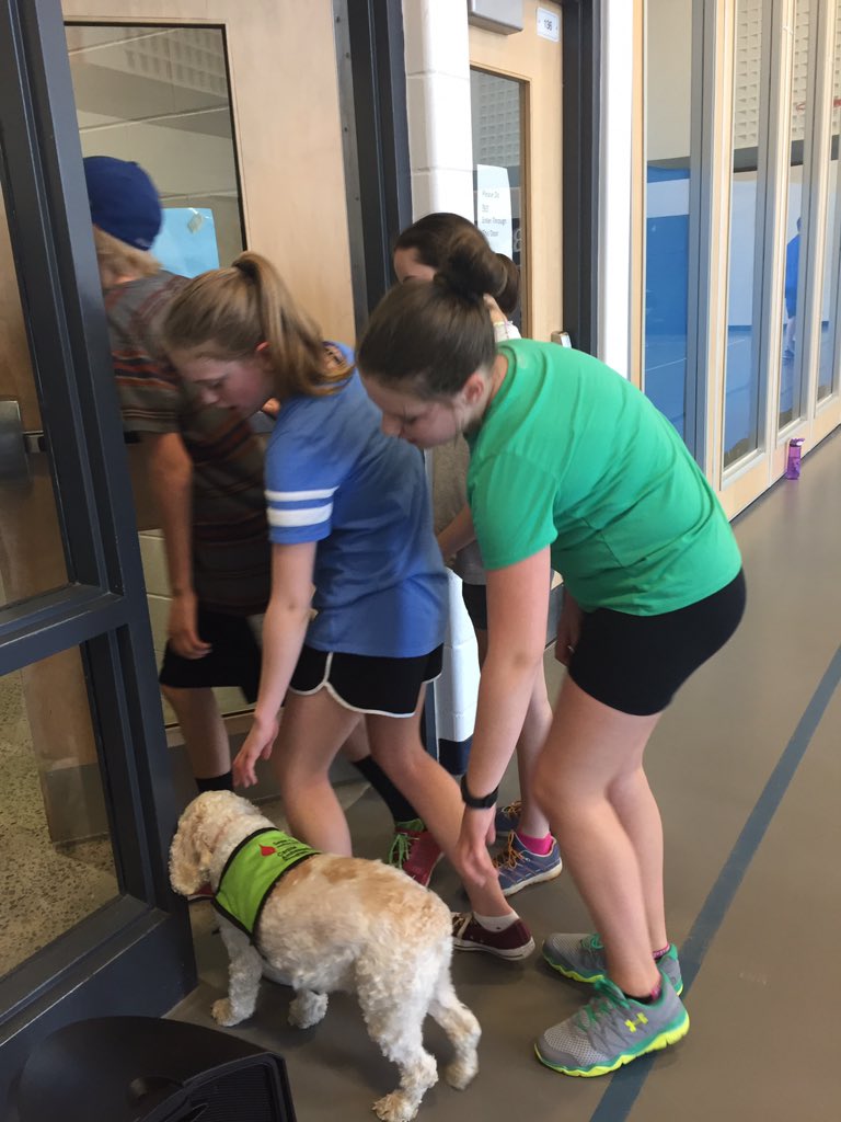 KellyCoxEDU's tweet photo. A little physical activity with Sunshinecompassion dog! #geniusprogram @MundysBayVP @SweetCharityDog @SCDSB_Schools https://t.co/h3a64BvhEs