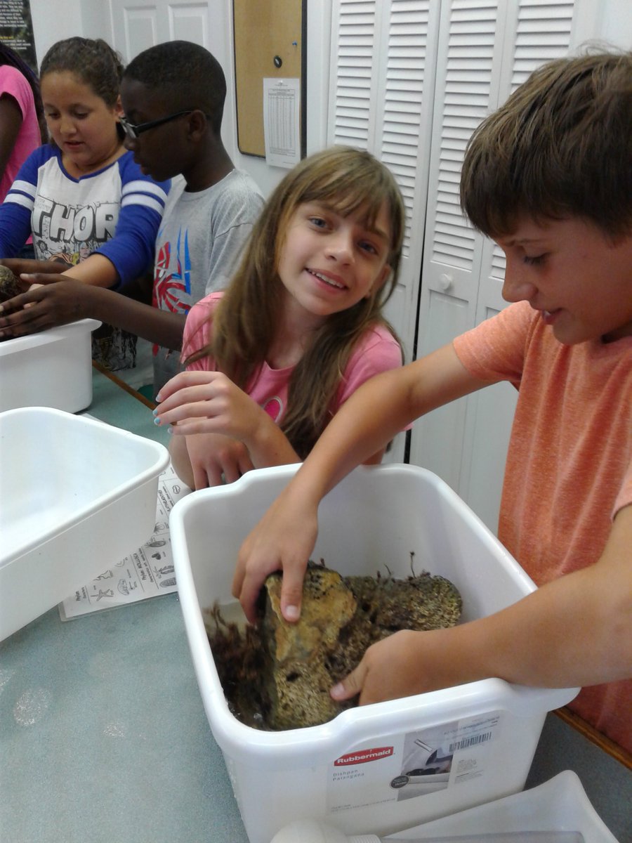PoincianaStem's tweet image. @PoincianaStem participating in Shake a Rock  lab! #marinelabkeylargo @PoincianaLeader