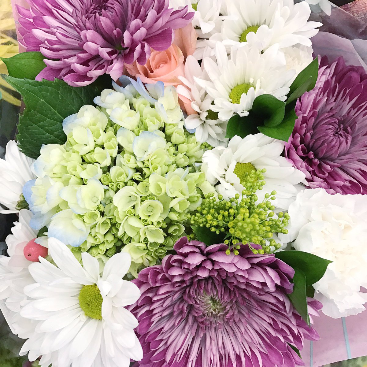 I am loving these beautiful spring blooms!