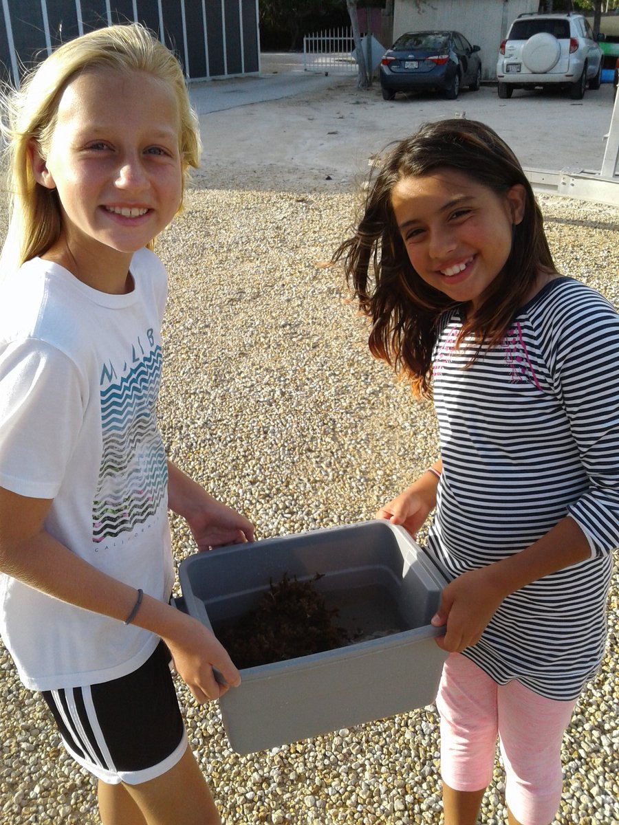 PoincianaStem's tweet image. @PoincianaStem participating in Shake a Rock  lab! #marinelabkeylargo @PoincianaLeader