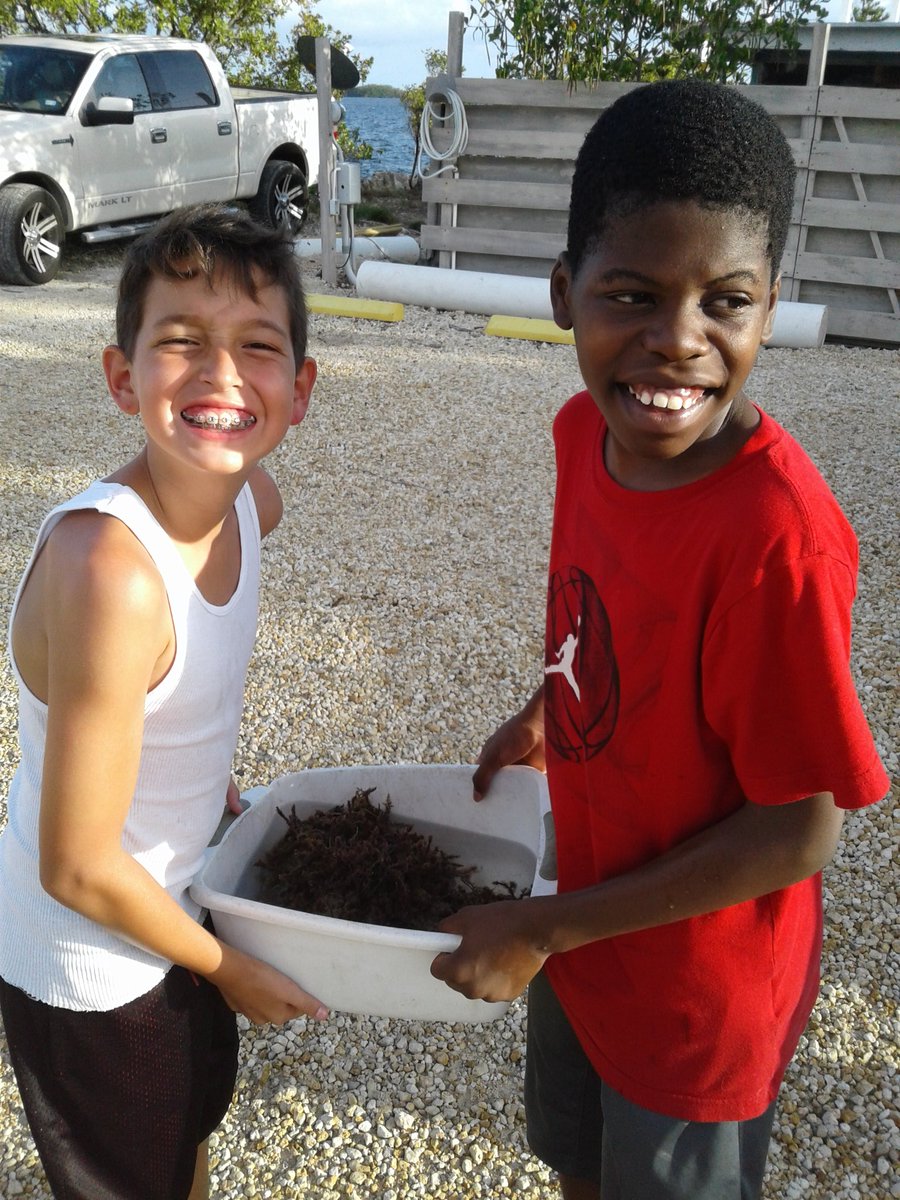 PoincianaStem's tweet image. @PoincianaStem participating in Shake a Rock  lab! #marinelabkeylargo @PoincianaLeader
