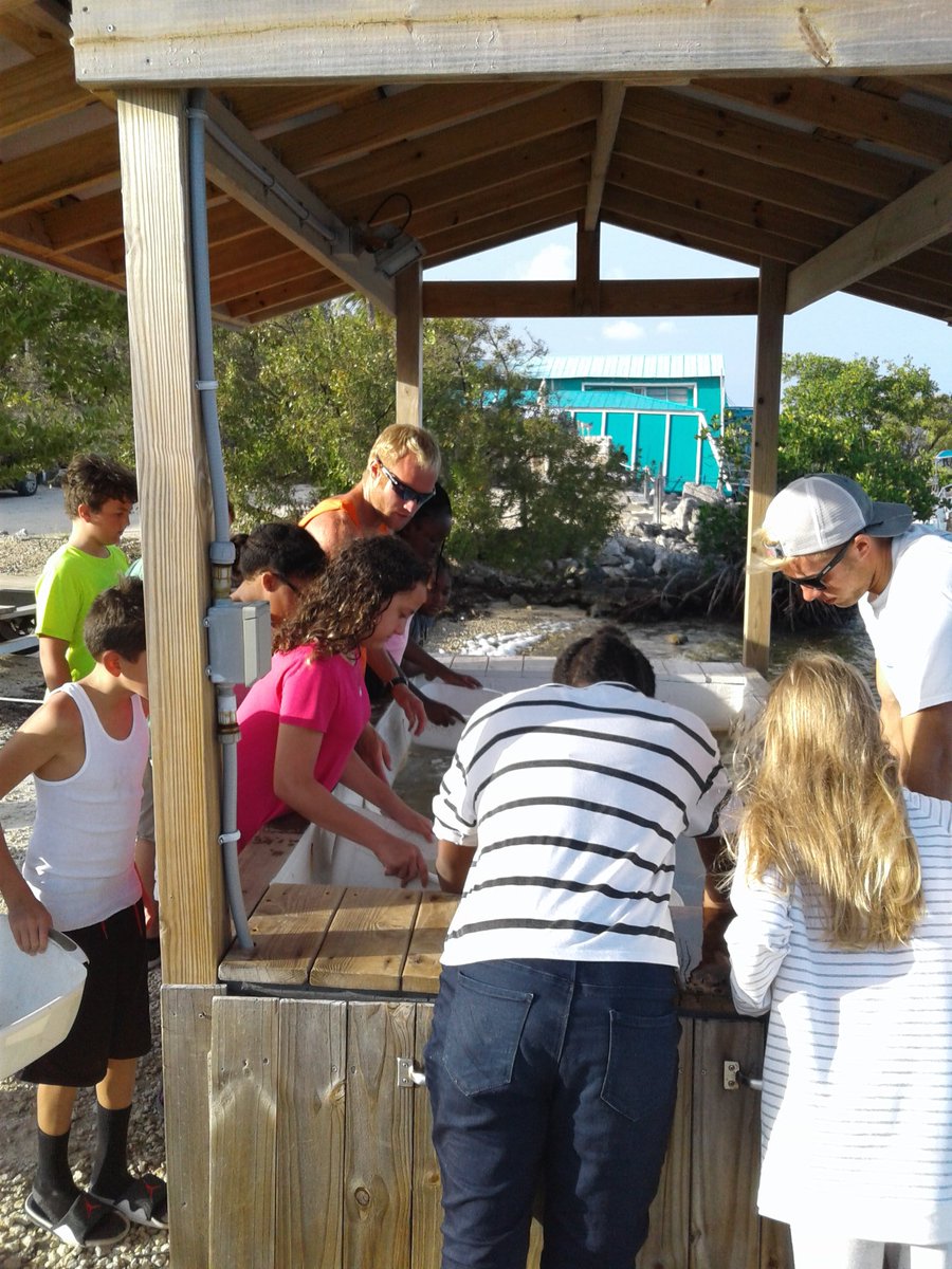 PoincianaStem's tweet image. @PoincianaStem participating in Shake a Rock  lab! #marinelabkeylargo @PoincianaLeader