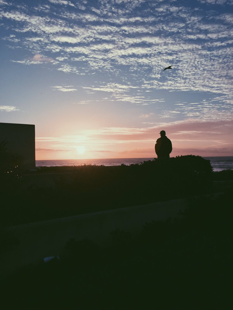 Solo95x's tweet photo. Half year review 🌸 https://t.co/FJMYtHo2EL