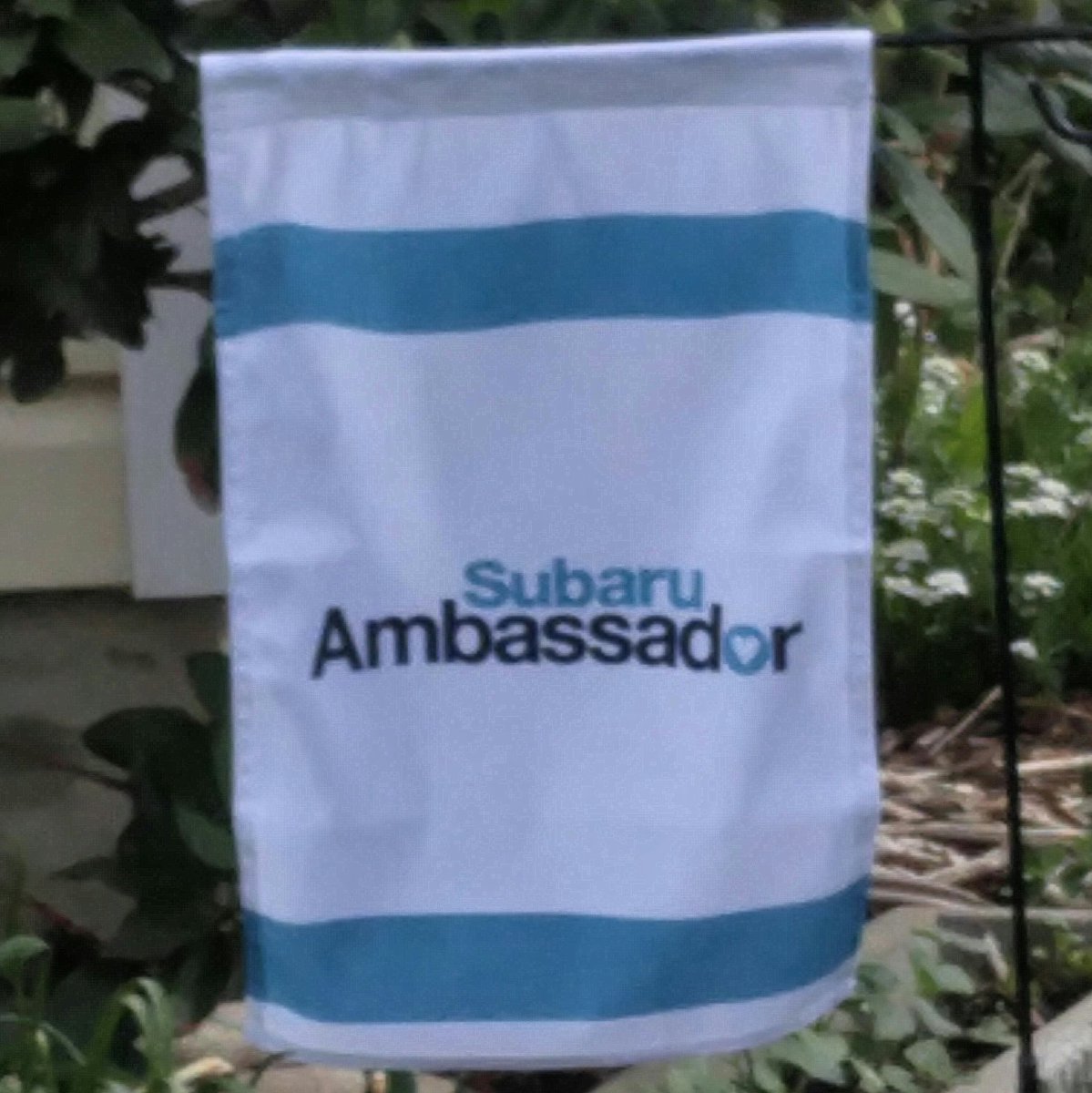 RonSubaRoop's tweet image. #NewProfilePic