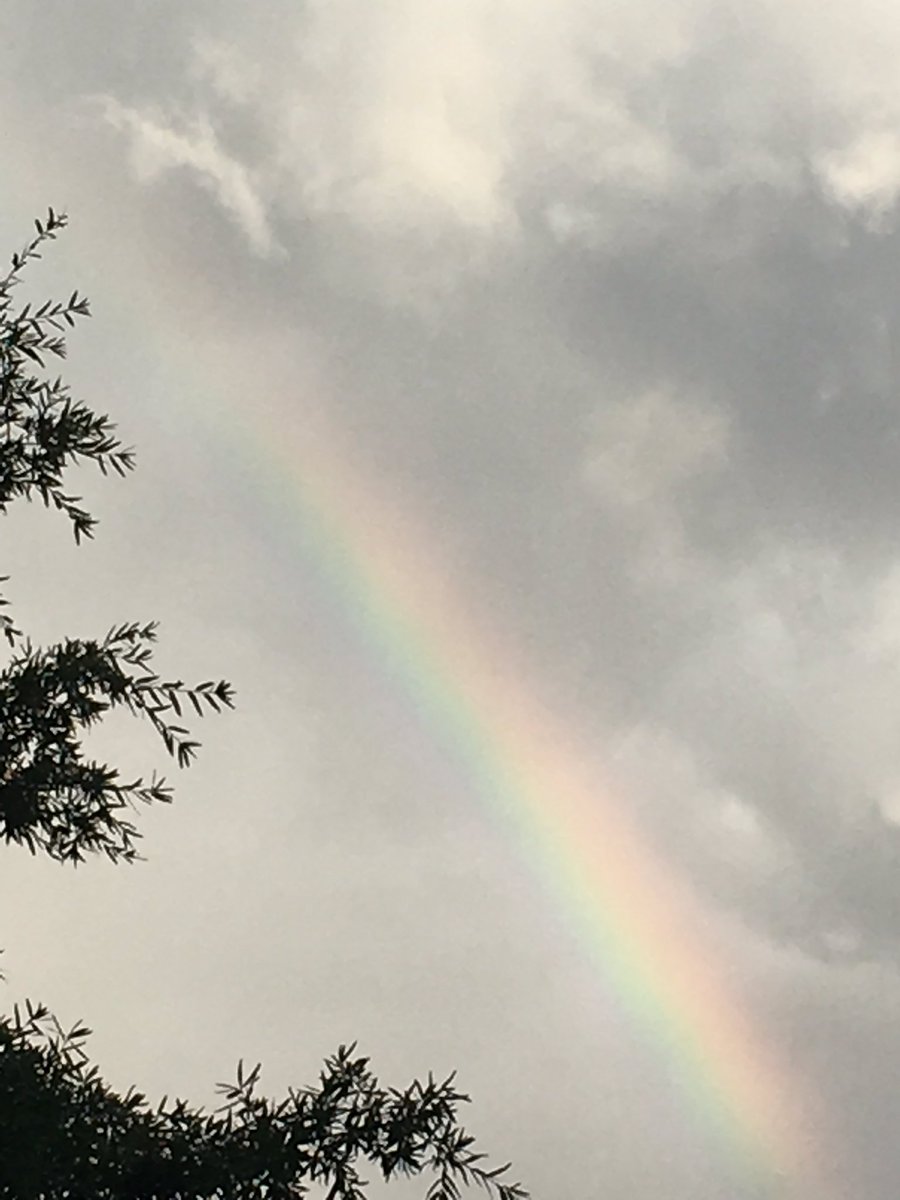 HotFlashFinds's tweet photo. Rainbow in Ashburn after downpour @capitalweather https://t.co/MuCv88yHy9
