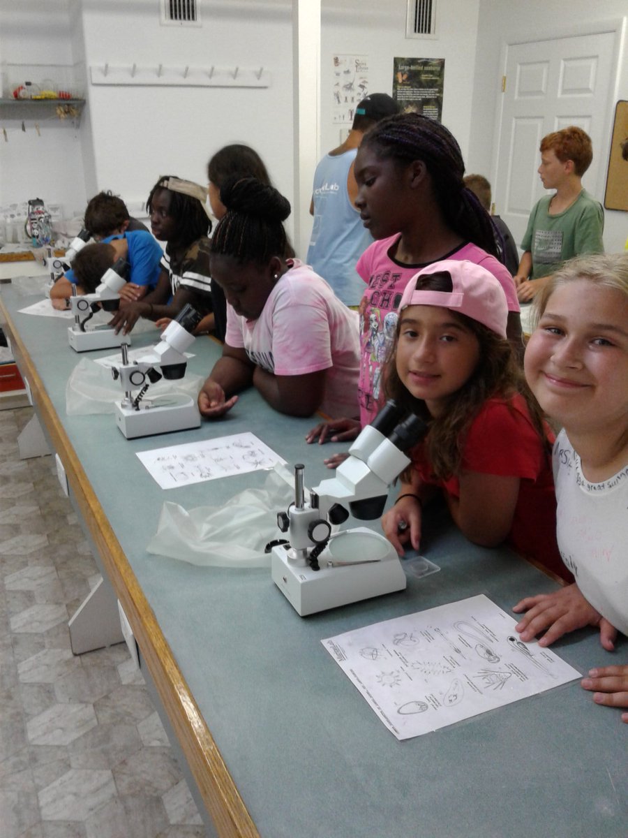 PoincianaStem's tweet photo. @PoincianaStem Ss learning about zooplankton at #marinelabkeylargo @pbcsd @PoincianaLeader https://t.co/XihafBWoqH