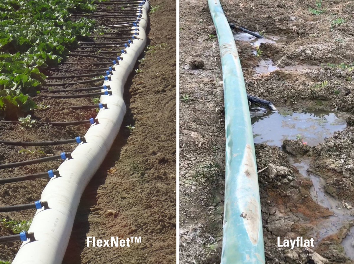 Netafim USA on Twitter "Why did we develop manifold piping