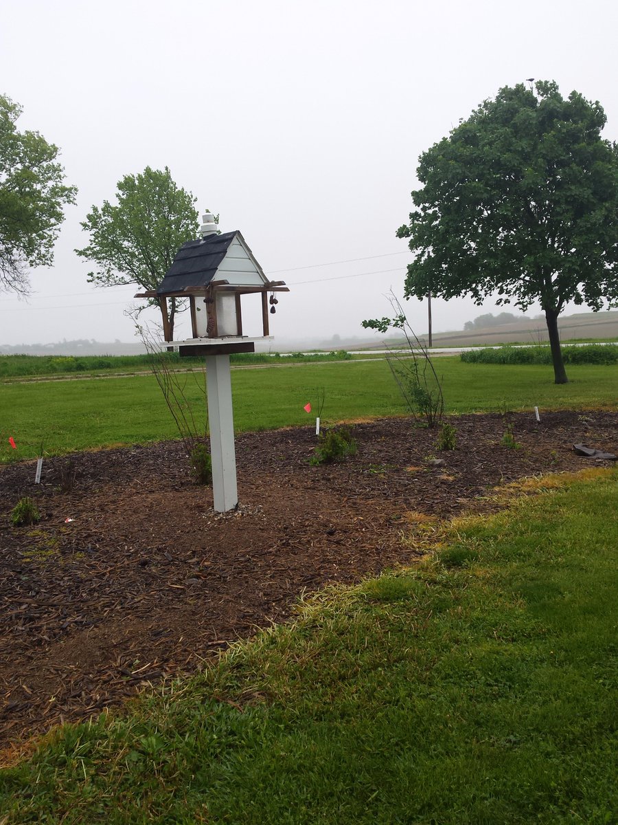 shopperann68's tweet photo. Thx @usbank #extra100 Iowa Songbird Trees, Swan Lake,Thelen Bird Sanctuary 8 shrubs planted! @spareusa @ABCbirds1 @iowadnc #birds #future https://t.co/2uVK2rn4jK