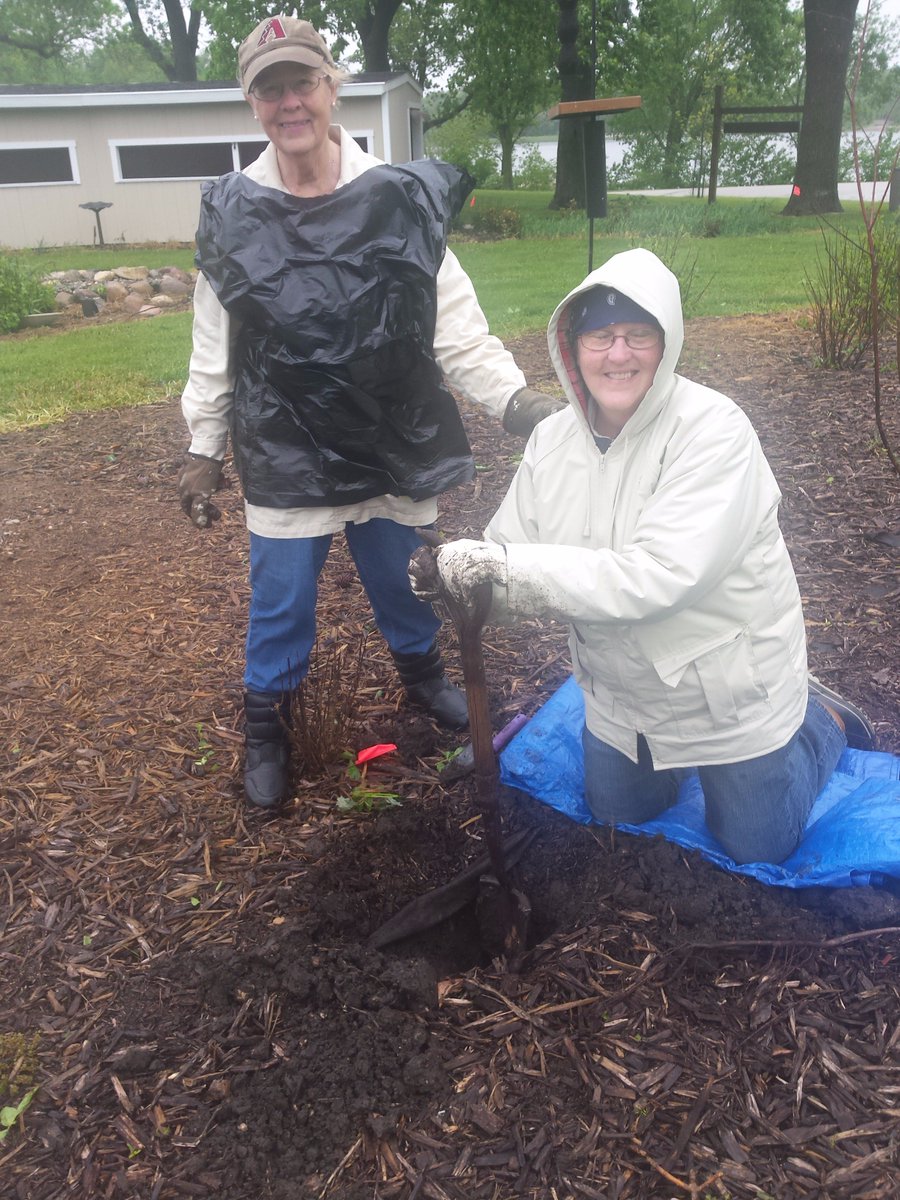 shopperann68's tweet photo. Thx @usbank #extra100 Iowa Songbird Trees, Swan Lake,Thelen Bird Sanctuary 8 shrubs planted! @spareusa @ABCbirds1 @iowadnc #birds #Diversity https://t.co/qSMdtXUMm8