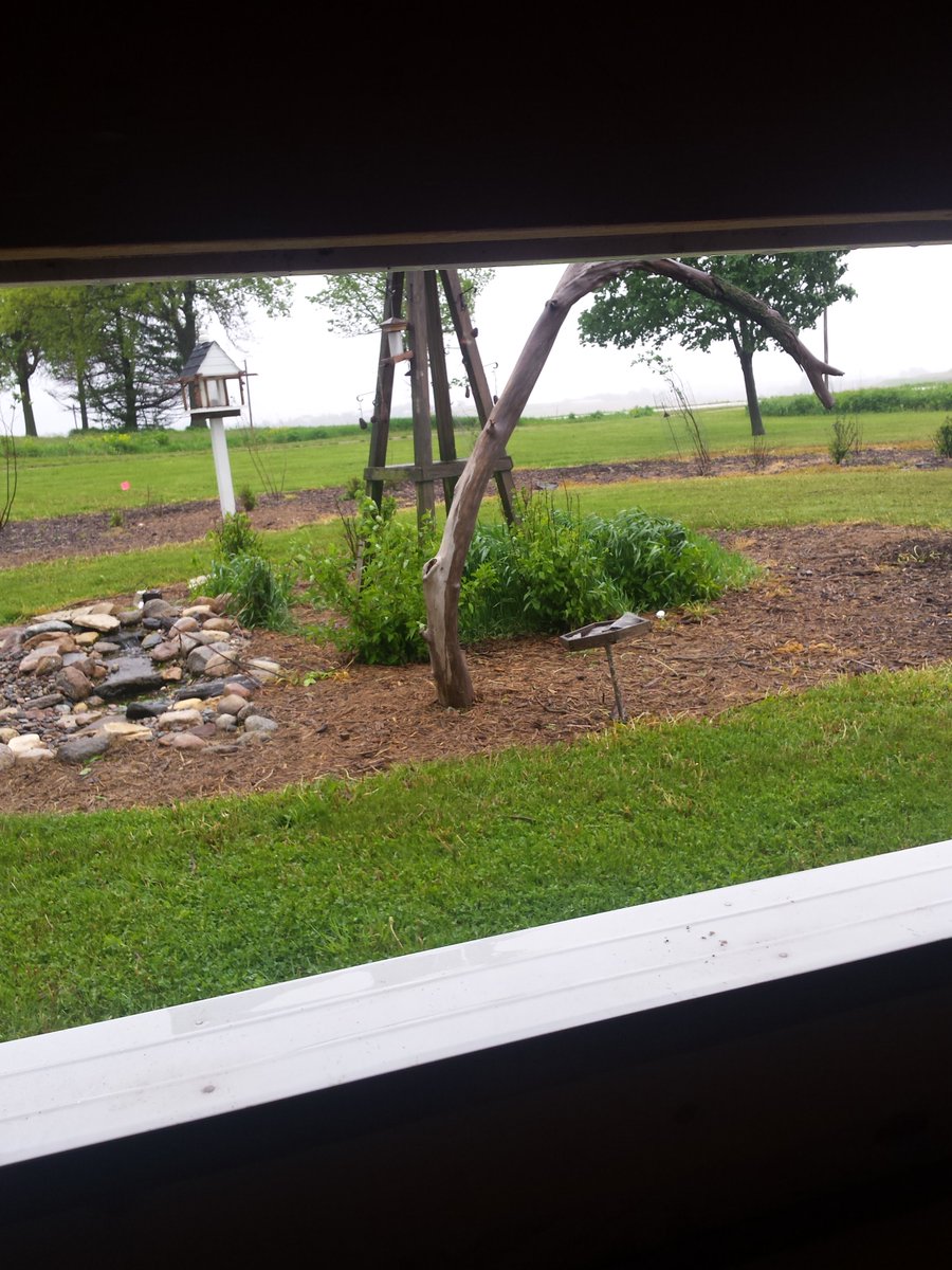 shopperann68's tweet photo. Thx @usbank #extra100 Iowa Songbird Trees, Swan Lake,Thelen Bird Sanctuary 8 shrubs planted! @spareusa @ABCbirds1 @iowadnc #birds #future https://t.co/6v3FRnnNtg