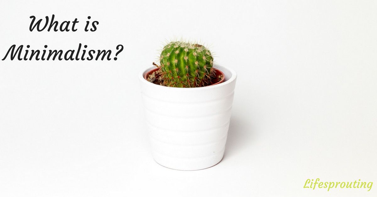 LifeSprouting's tweet image. Ever wonder what minimalism is all about?  Click here to find out! Please ❤️ and RT! #minimalism #GetWoke  buff.ly/2qspmwq