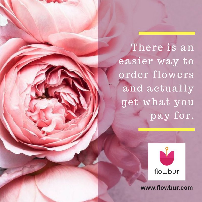flowbur's tweet photo. An easier way of ordering flowers
#1800flowers #proflowers #fromyouflowers #teleflorist #flowers #florist #flowbur https://t.co/jVRvAPokjs