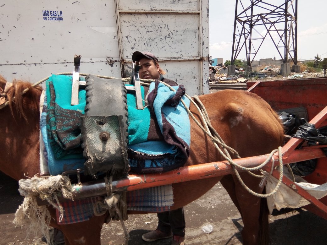 alezazulyoro's tweet photo. @Buscando1amigo @Paola_Ortal @propaem_sma @aleariasmolina @eruviel_avila @Gestion_Eruviel @raoulvargas @SMAedomex @ErnestoSispa @Eliza_SotoP @LeoJabbasky @UribeMerle @rumabo1 @DefensaAnimal @KrysCobain @Frecda @MariaConchita_A @SylviaPasquel @morenamia25 El convenio de bienestar animal mentira o promesas sin cumplir? #50AngelesNuestraLucha cuando sera las sustitucion de animales de carga?? https://t.co/qyJEggdwal
