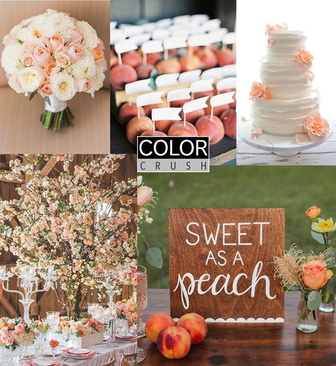 GraciousEvents's tweet photo. #GEMColorCrush I think we are super excited for the summer to begin....loving this sweet peach color inspiration! … https://t.co/USx2rQRDq2 https://t.co/3RvZ1FXm0g