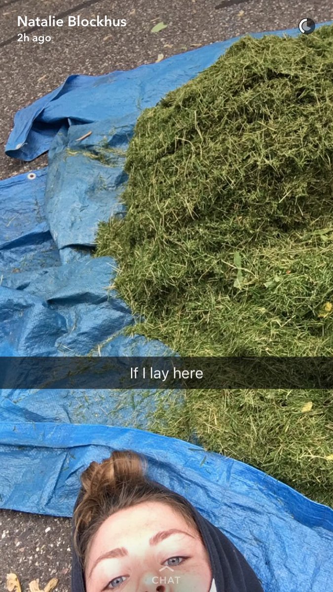 MeganPoor's tweet photo. For those not fortunate enough to have her on Snapchat https://t.co/hN2B7NENJD