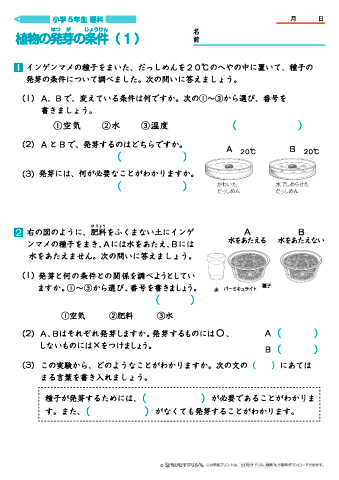 ちびむすドリル בטוויטר 作成 追加しました 小学５年生理科 植物の発芽の条件 問題プリント ５枚 T Co Z8royidubf 植物の発芽には 水 空気及び温度が関係していることと 発芽に必要な条件について確認する問題プリントです T Co