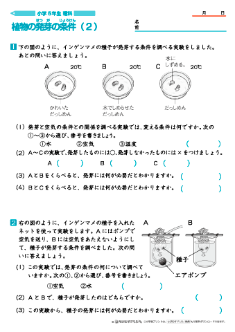 ちびむすドリル בטוויטר 作成 追加しました 小学５年生理科 植物の発芽の条件 問題プリント ５枚 T Co Z8royidubf 植物の発芽には 水 空気及び温度が関係していることと 発芽に必要な条件について確認する問題プリントです T Co