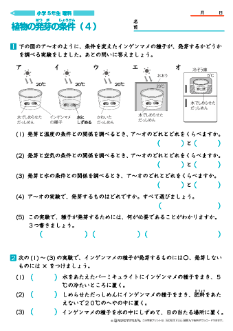 ちびむすドリル בטוויטר 作成 追加しました 小学５年生理科