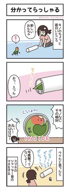 コザクラインコ を含むマンガ一覧 古い順 ツイコミ 仮 コザクラインコ を含むマンガ一覧 古い順 ツイコミ 仮