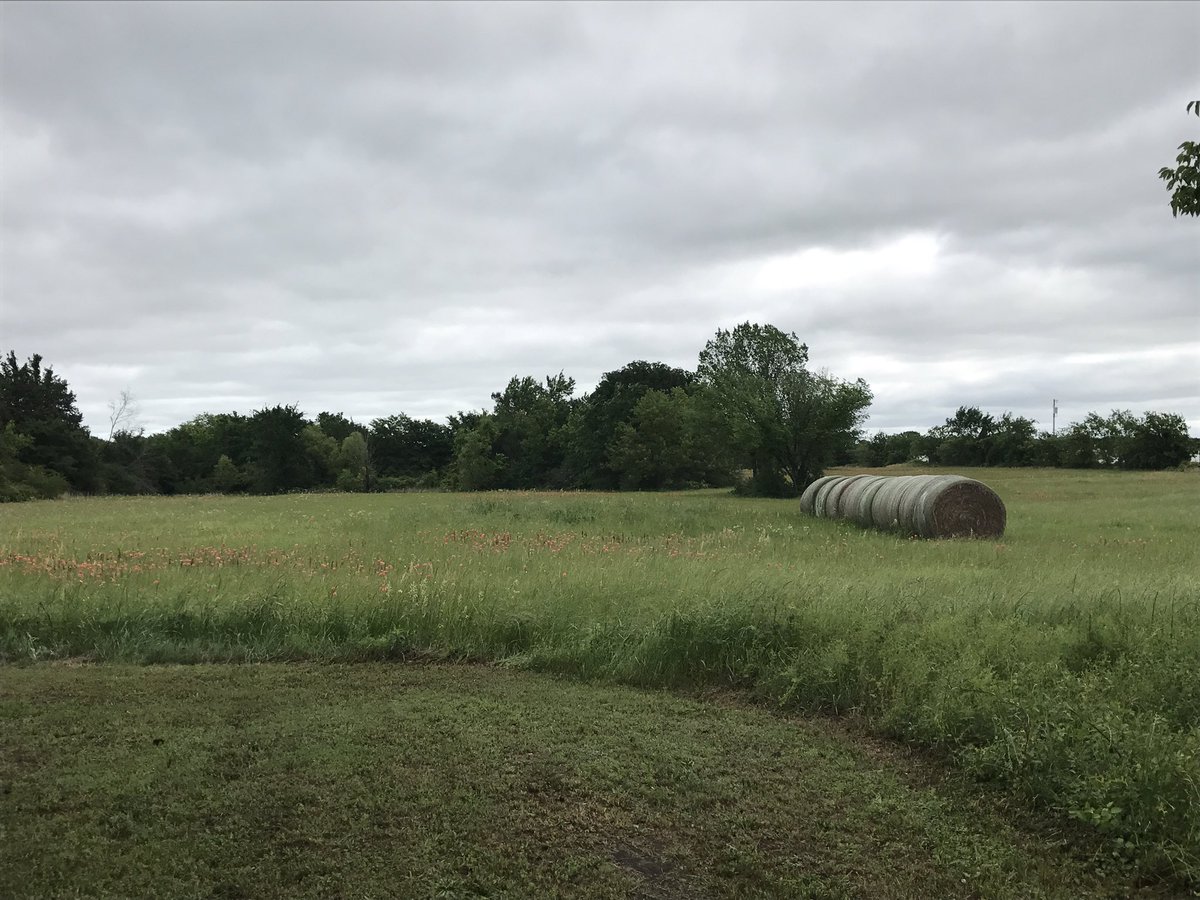 Kleclair17's tweet photo. My dream. Our dream is happening in exactly one month ❤️😍 #texasranch #countryliving #neehome https://t.co/RXjs3RPEMk