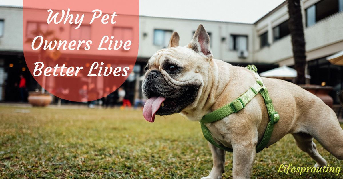 LifeSprouting's tweet image. Do pet owners live longer? Find out why Pet Owners have it better here! Please ❤️ and RT! #pets #themoreyouknow buff.ly/2s6IRrF