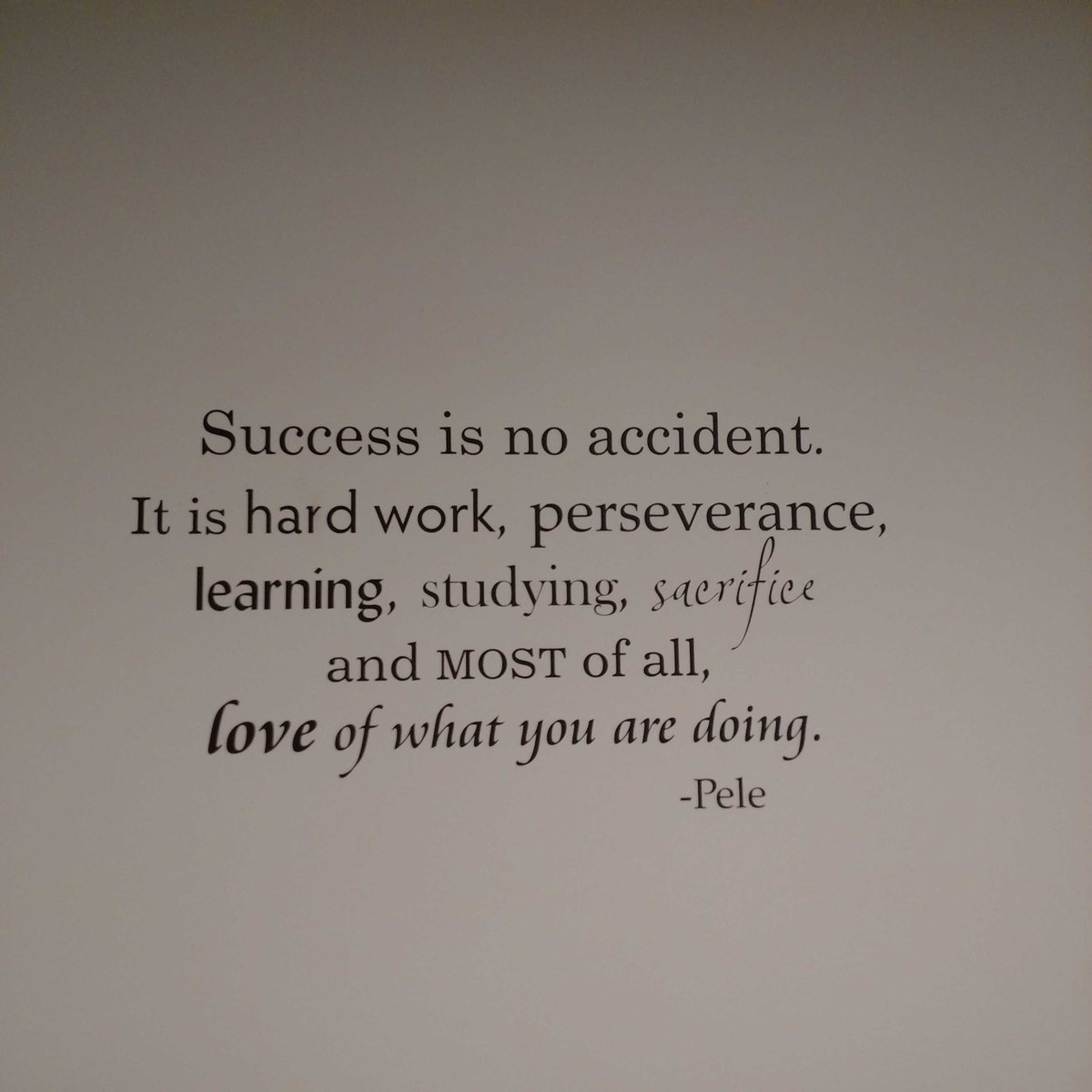 JJExtAffairs's tweet image. Congrats to @jjcstudents #class2017 #GoBloodhounds #JJCGrad #DearJohnJay #MyJohnJay  #FierceAdvocatesforJustice