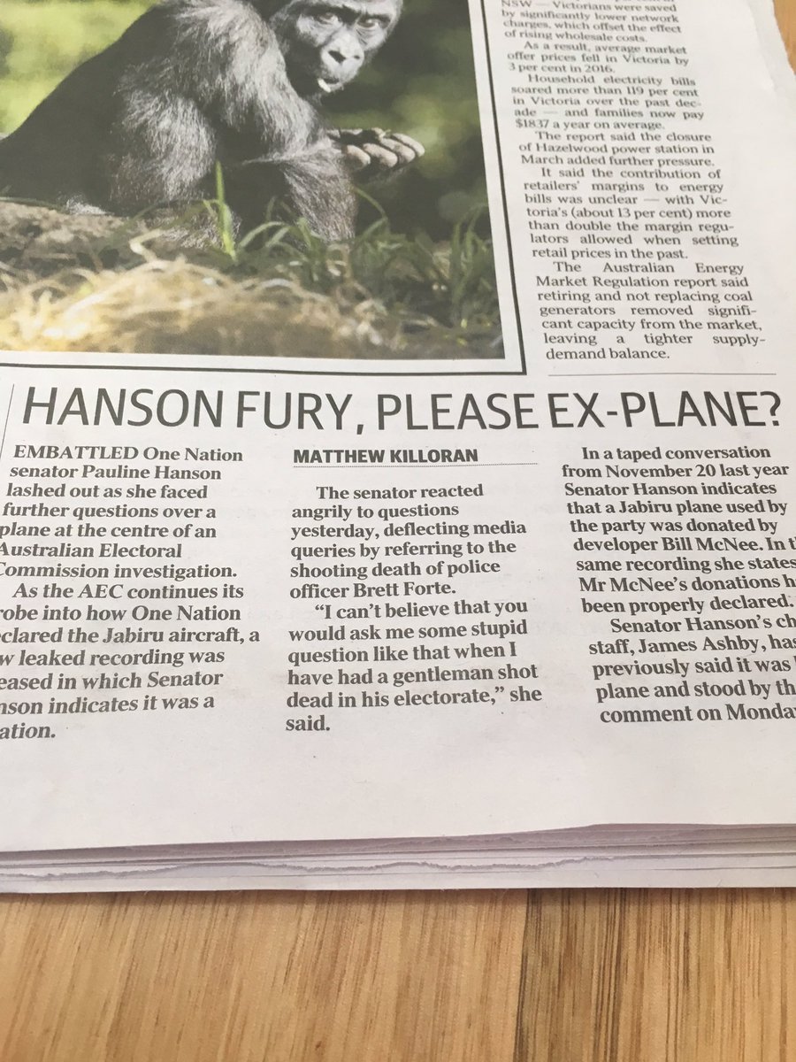 Siobhan Gleeson tweet media