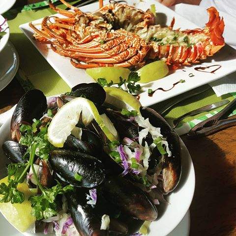 #Lobster #seafood #clams #oyster <a href="/ZHaamo/">Neth[a]</a> / @nethmoz #saltylife #landscaping #sandy #brightsky