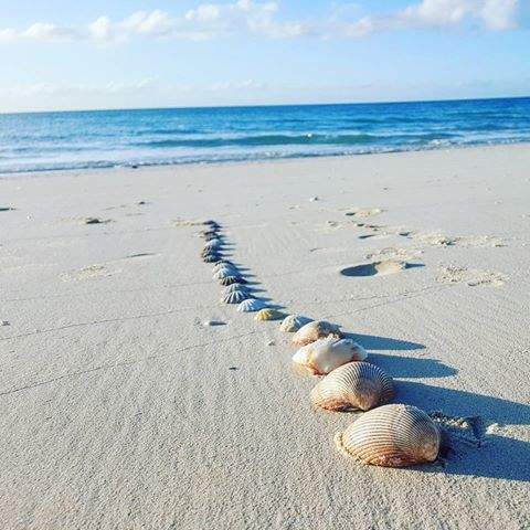 Beach life. Burning skin #tanning <a href="/ZHaamo/">Neth[a]</a> #beach #saltylife #holiday #couple