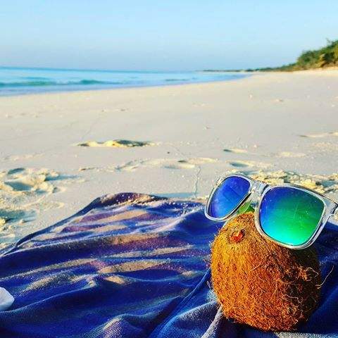 #coconutwater #beach #saltylife #beachlife <a href="/ZHaamo/">Neth[a]</a> #sunglasses #rayban #sandy #brightsky