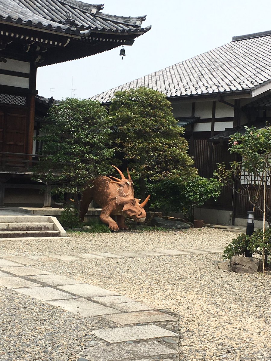 お寺にトリケラトプスなんているわけないと今日まで信じてきたんですが、いました。