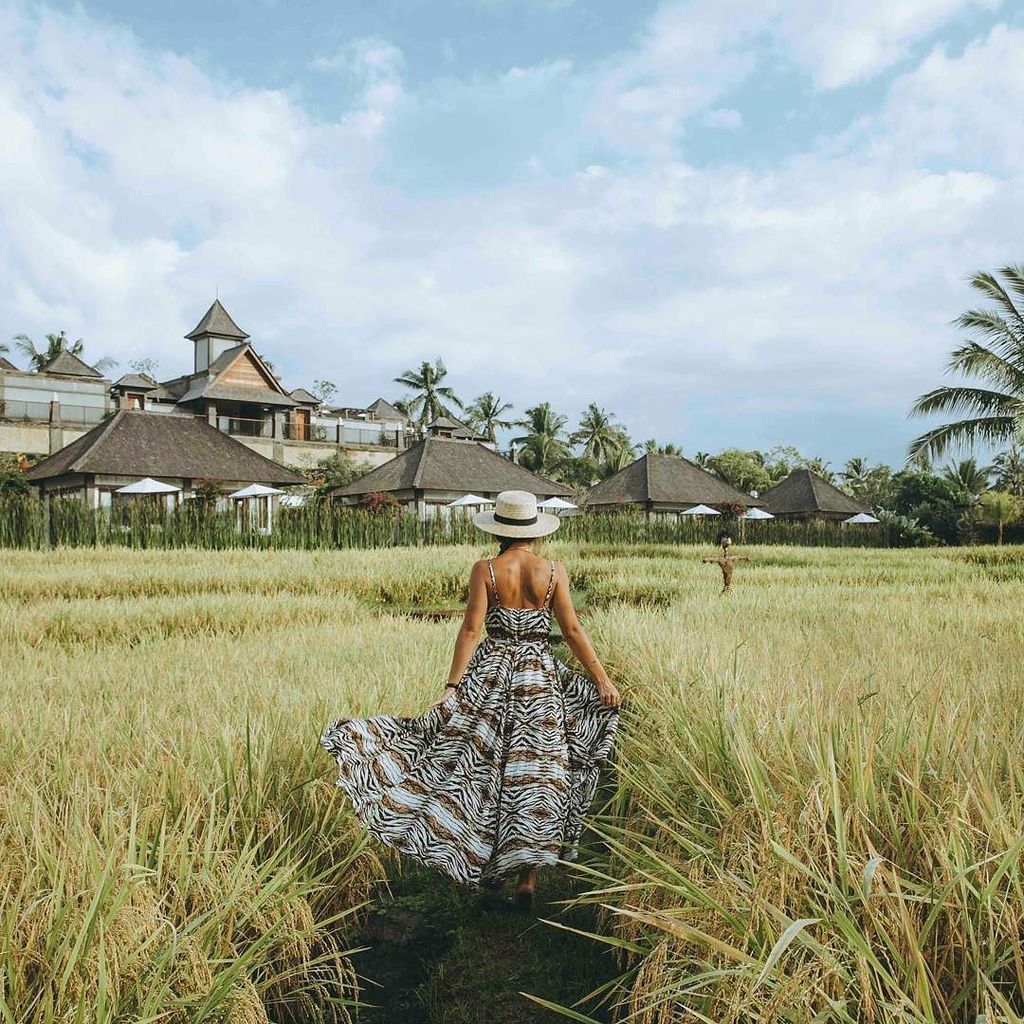OneWorldJustGo's tweet photo. Walking back to my villa through the rice fields @desavisesa https://t.co/BQ2U0thOMy https://t.co/5AozfQxopG