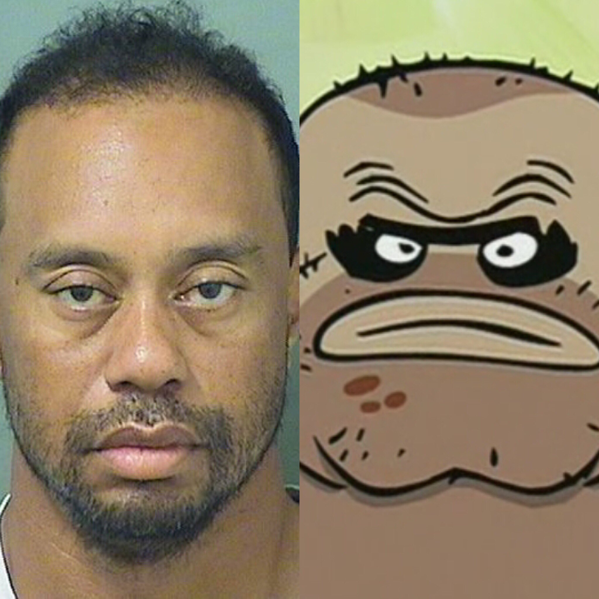 Bikini Bottom News on Twitter