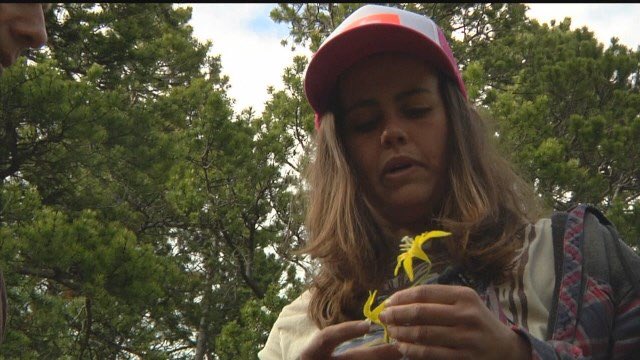 DavidABCFOXMT's tweet image. Watch our 30-min show on the woman who survived with her dog for 7 days in the wilderness
abcfoxmontana.com/story/35546349…