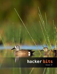 hackerbits's tweet image. Hacker Bits Issue 17 was just published @facebook @_ericelliott @drob @80000Hours @brikis98 @AllenDowney bit.ly/2r9V7t7