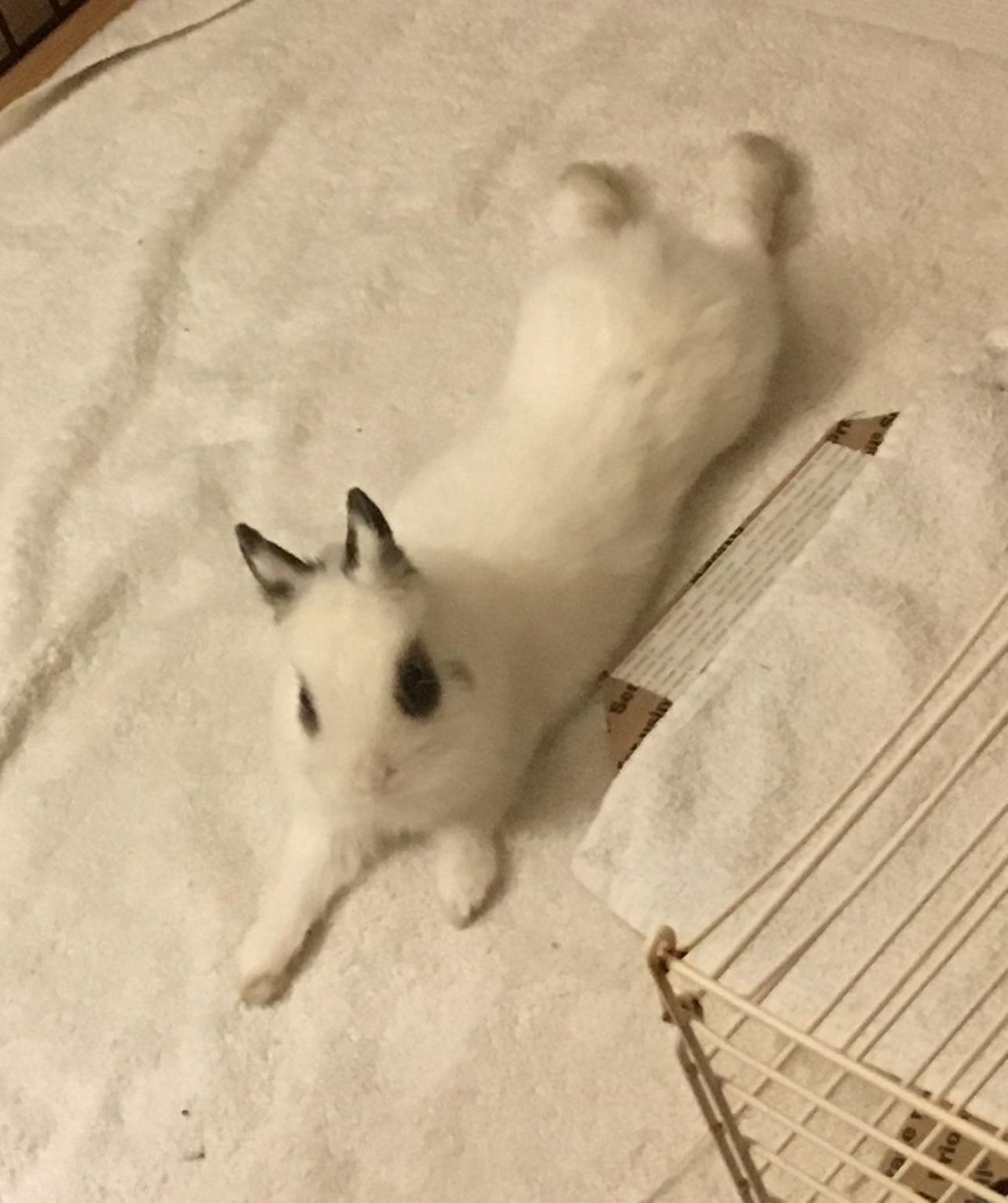 ScootPersonal's tweet image. 