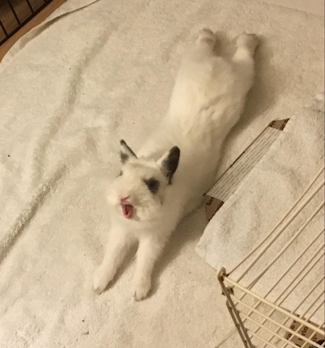 ScootPersonal's tweet image. 