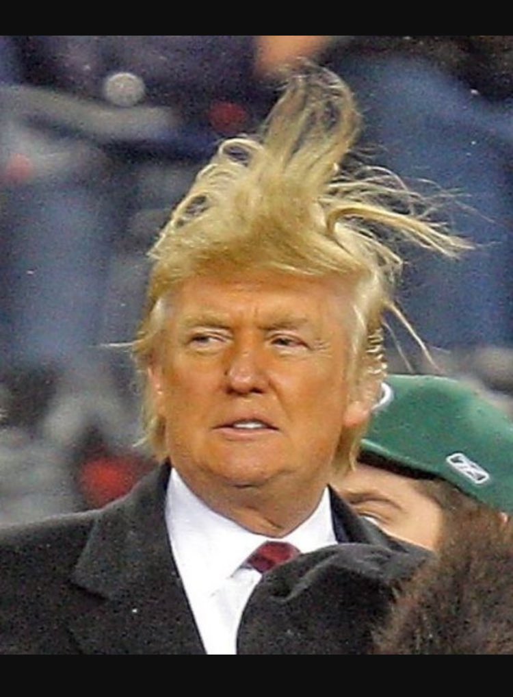 aivilo_evilo's tweet image. maybe he&apos;s born with it
maybe it&apos;s #covfefe