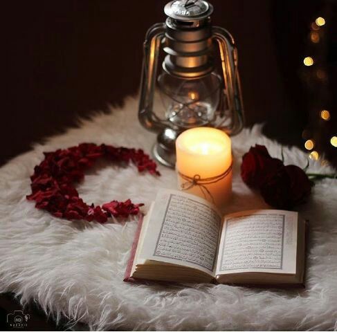 5 | رمضـــان 🌙✨
اللهم ارسل نفحات جنتك وبرد نعيمك على قبور امواتنا وزدهم سعة وسرّور 💕