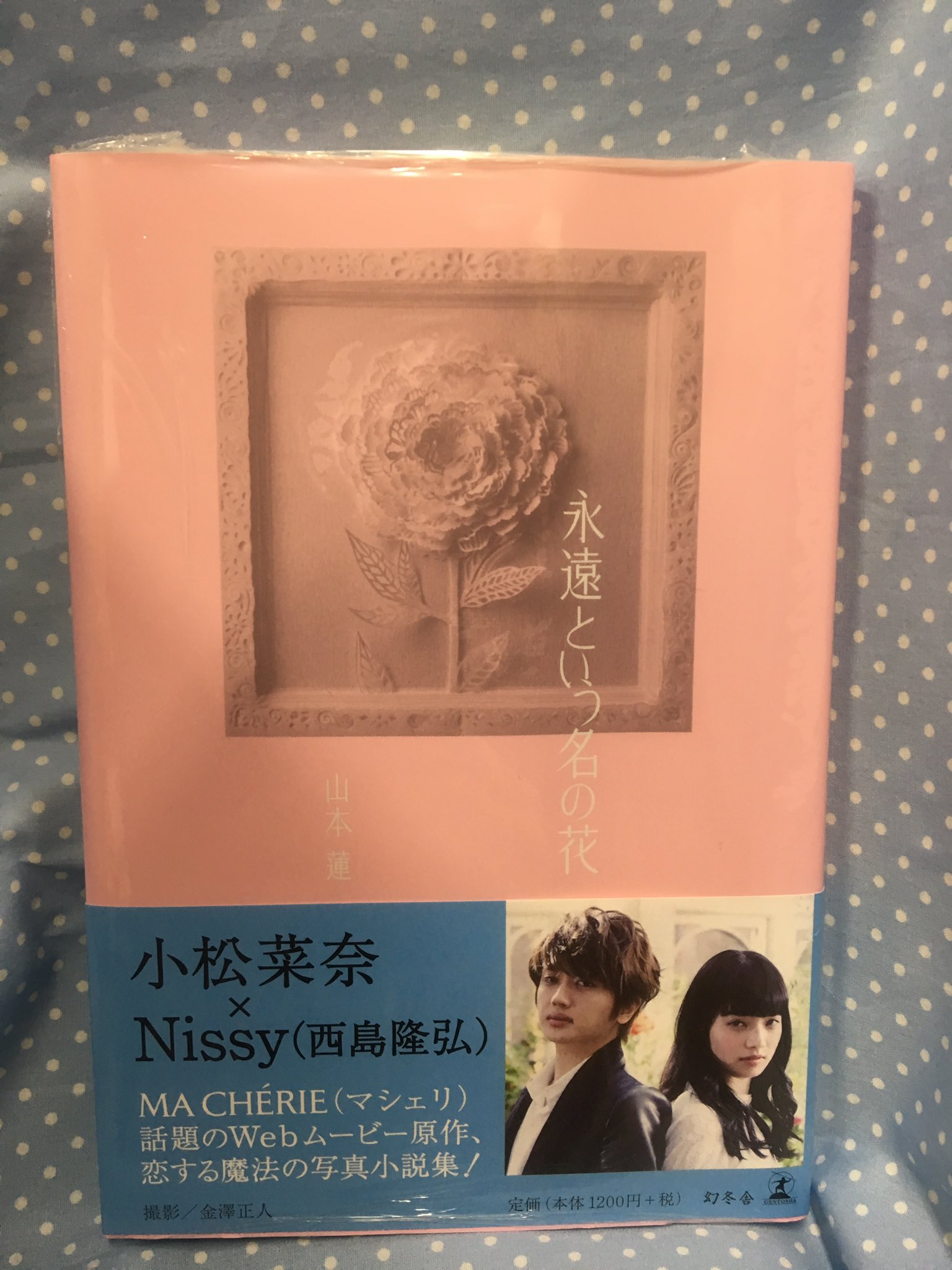 O Xrhsths 水嶋書房くずはモール店 時短 10 営業中 Sto Twitter aのnissy 西島隆弘 話題のcm 写真小説集になって発売です O Xrhsths 水嶋書房くずはモール店 時短 10 営業中 Sto Twitter aのnissy 西島隆弘 話題のcm 写真小説集になって発売です
