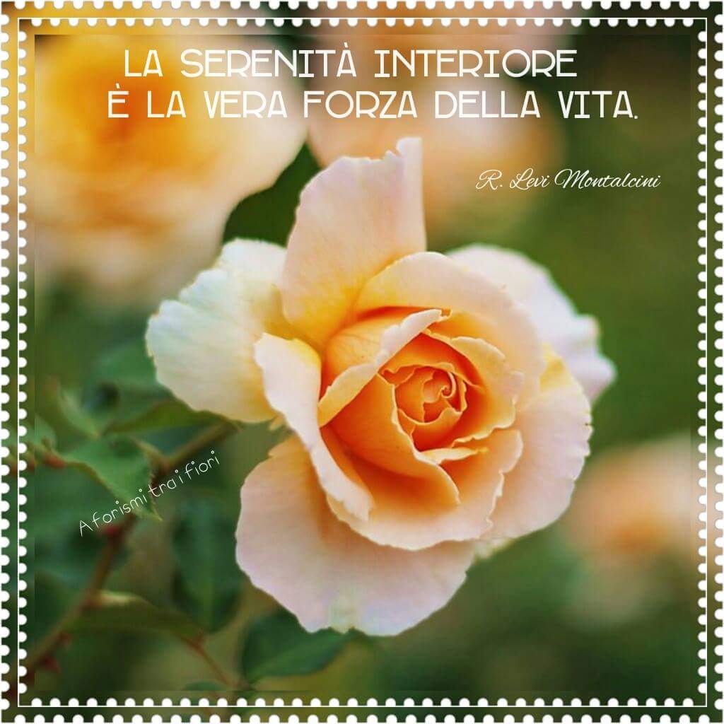 francescafiloc2's tweet photo. La serenità. https://t.co/JDDbiokq1N