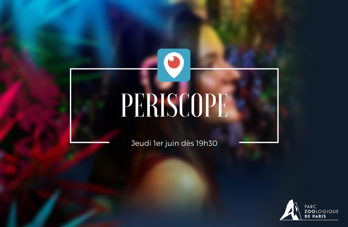 J-1 avant le lancement de notre première soirée de #nocturne !
RDV demain dès 19h30 pour vivre en direct le lancement de cette soirée.