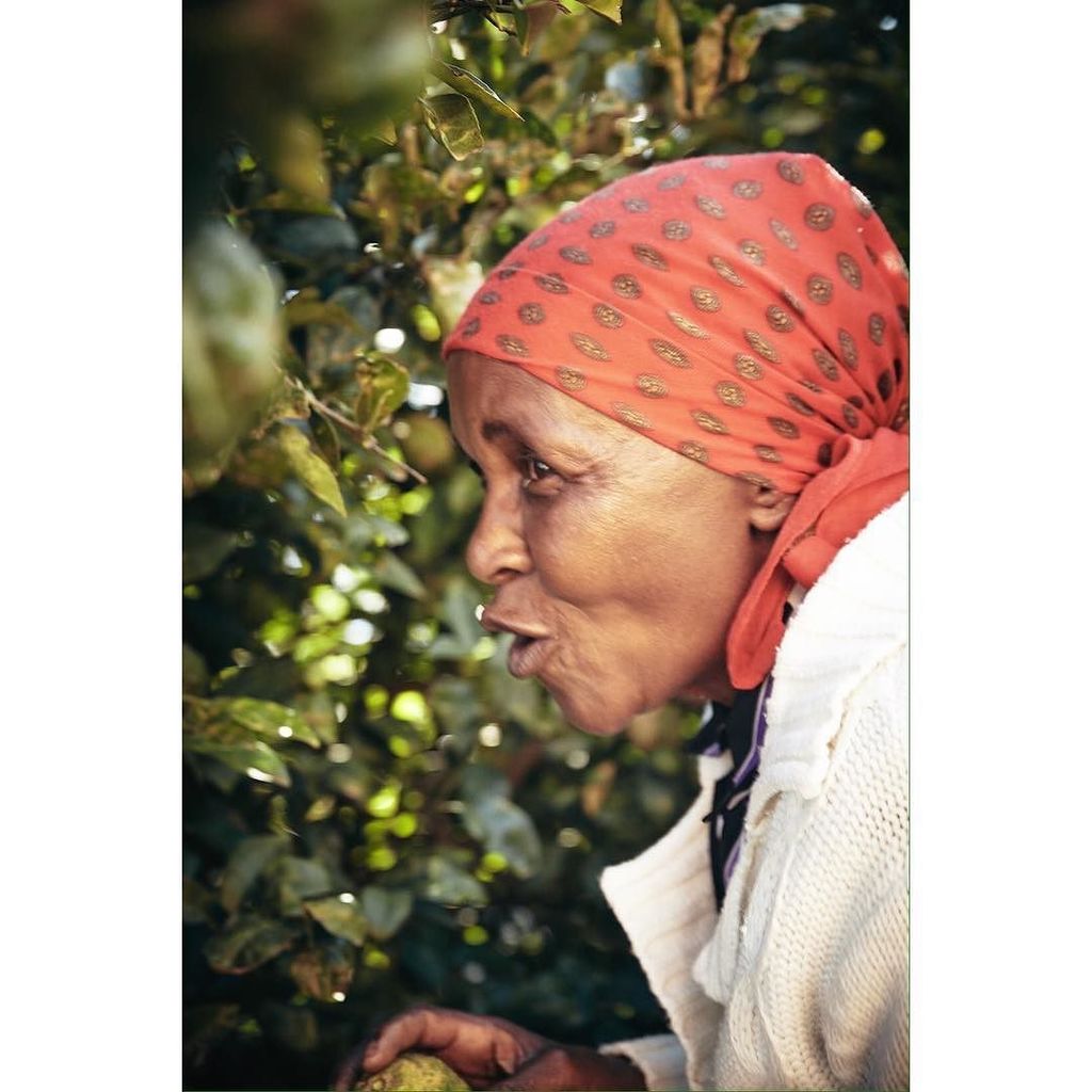 aidanoneill101's tweet photo. Incredibly beautiful and generous woman I met again last week. Gave us the best 🍋🍋🍋🍋
#Swaziland #Africa #everydaya… https://t.co/ZLvMHO0JYC https://t.co/odI0kN6nFw