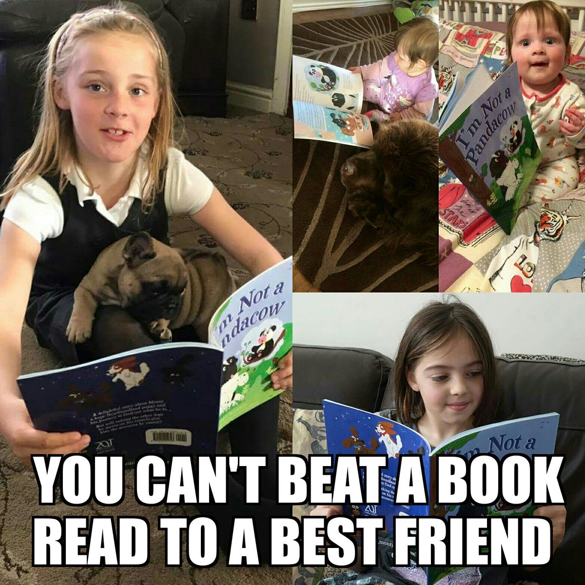 Montydogge's tweet photo. Great read for half term. https://t.co/WSgLxq4N7I #ChildrensBooks #kidsbook #kidslit #dogsoftwitter #dogtweets #newfoundland https://t.co/bAo3aBEJz3