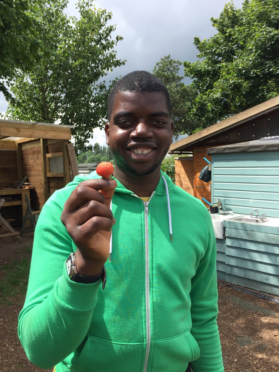 MudlarksGarden's tweet photo. #firststrawberry #summeriscoming https://t.co/fxeyszXxLa