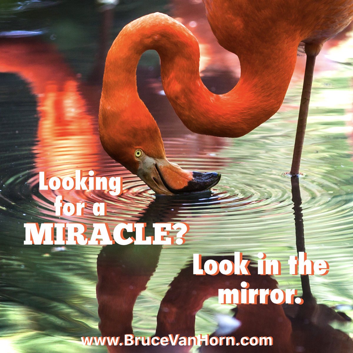 BruceVH's tweet photo. Looking for a miracle? Look in the mirror!
#SelfLove #Confidence #Success https://t.co/WffzVaDyJK