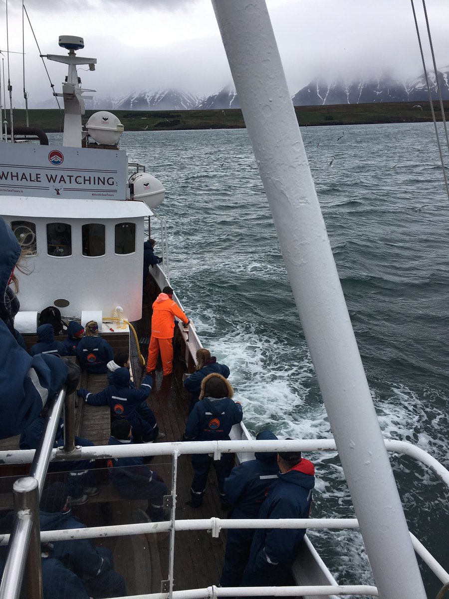 AngGrll's tweet image. Whale watching in #Iceland and fresh cod for dinner. Good day @gadventures