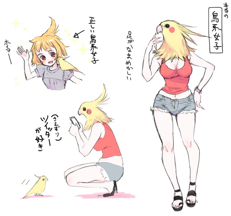 本当の鳥系女子。 なんか人の顔を描きたくないと思って描いてたらこんなんなってました。 チキンジョージ!?
